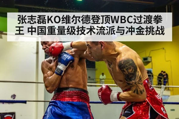 张志磊KO维尔德登顶WBC过渡拳王 中国重量级技术流派与冲金挑战